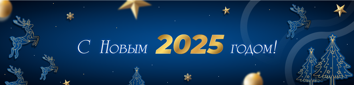 ВТТ-с Новым 2025 годом.png