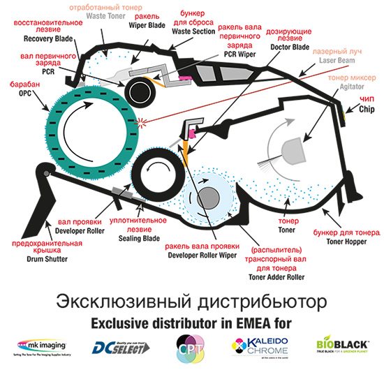 dela_cart_ru_homepage.jpg
